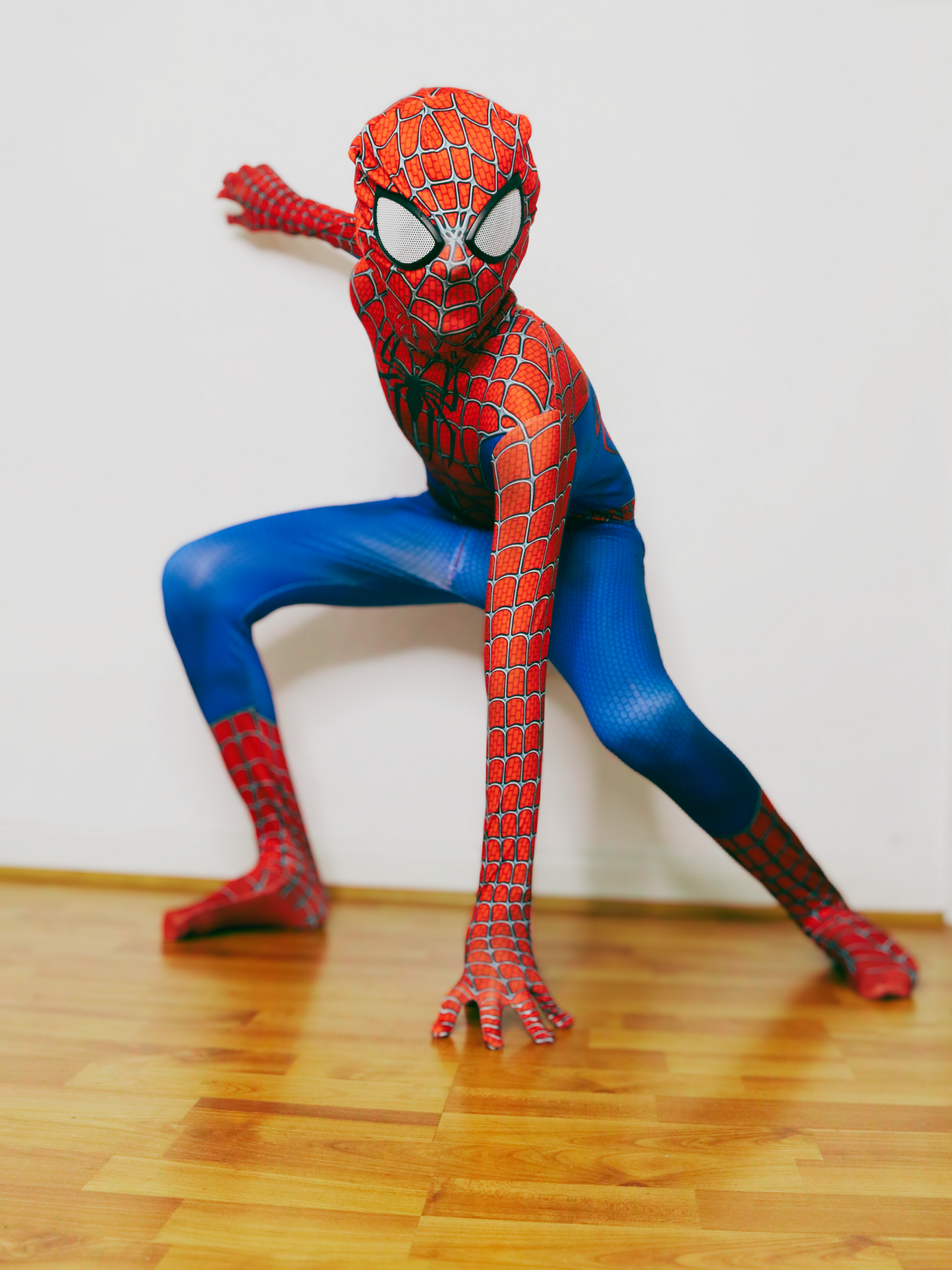 Spiderman Suit