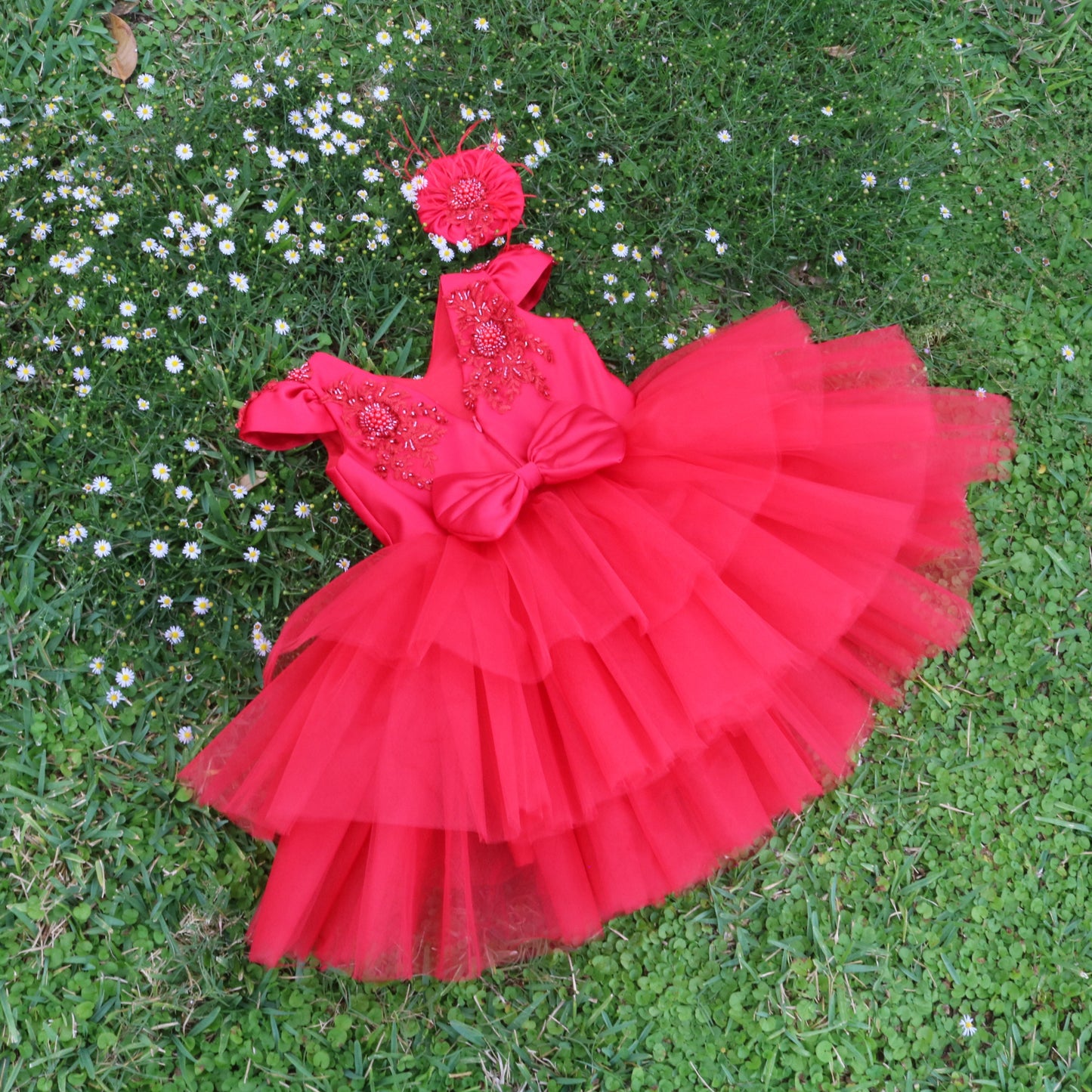 Rosa roja