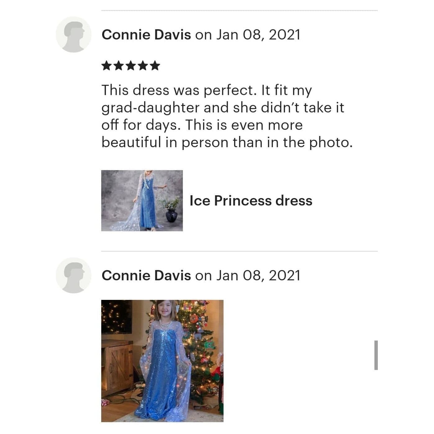 Princess Dress - Western By Zari