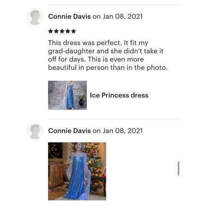 Princess Dress - Western By Zari